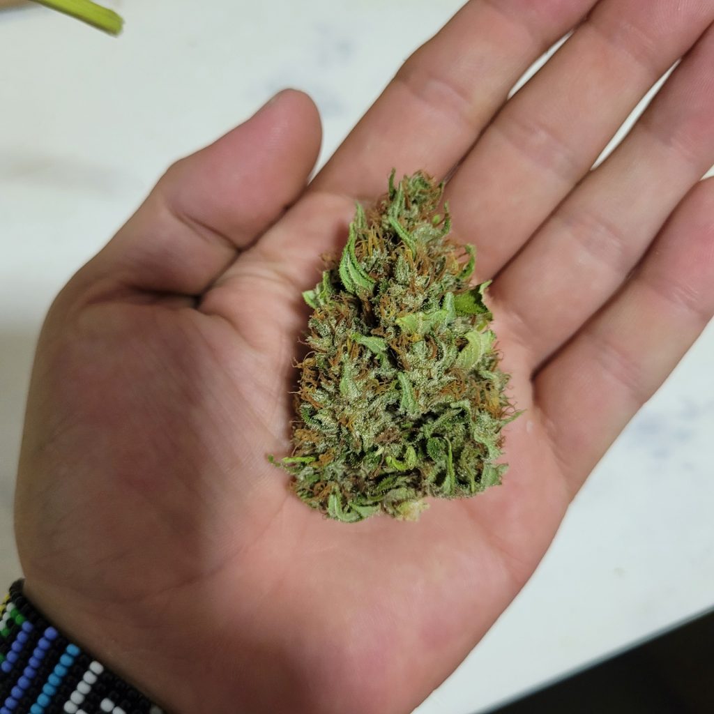 whatsapp image 2025 12 04 at 2.45.27 pm